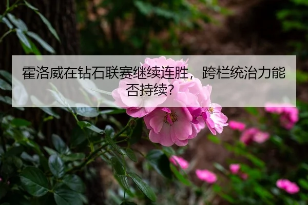 霍洛威在钻石联赛继续连胜，跨栏统治力能否持续？